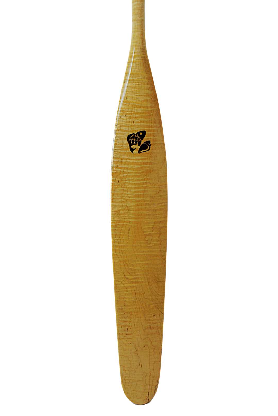 Custom Tiger Maple Fishell Paddle Giveaway